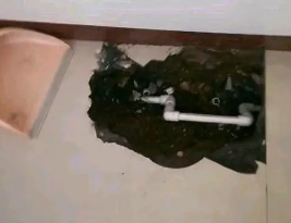 兴业卫生间测漏水多少钱